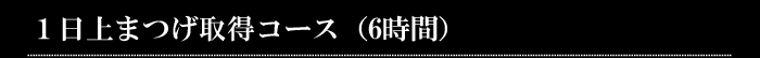 1日上まつげ取得コース